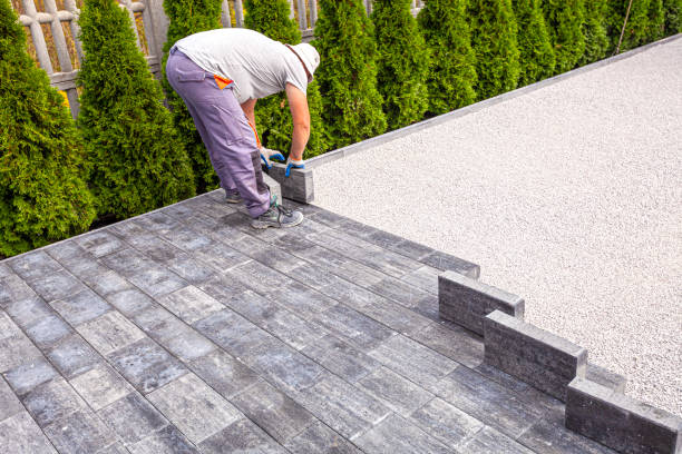 Best Driveway Paving Contractor  in Clayton, NM