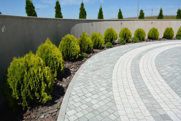 Best Decorative Driveway Pavers  in Clayton, NM
