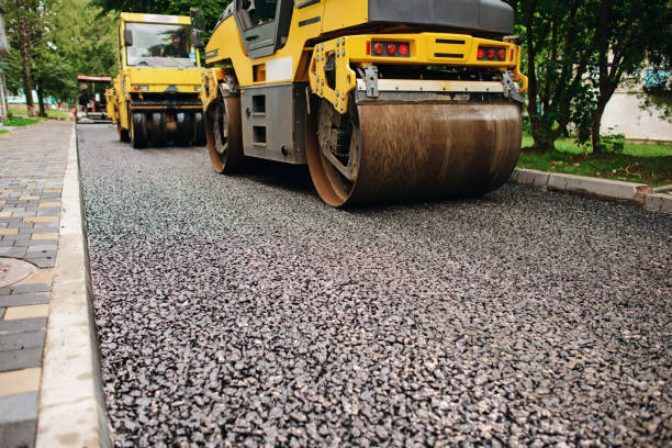 Best Residential Paver Driveway  in Clayton, NM